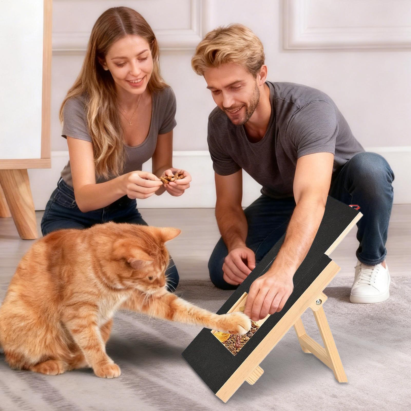 Tiragraffi in Legno per Cani c - Woodworking Magazine recensione e prezzo