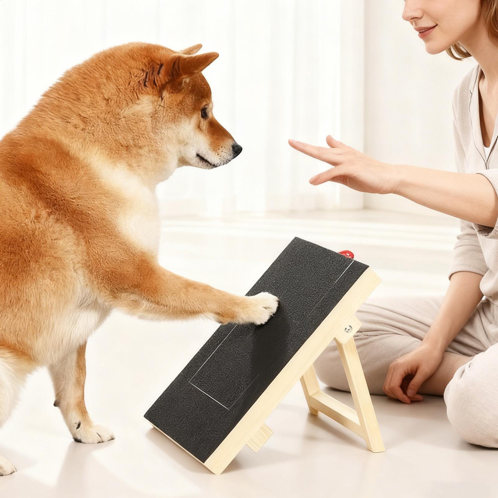 Tiragraffi in Legno per Cani c - Woodworking Magazine recensione e prezzo